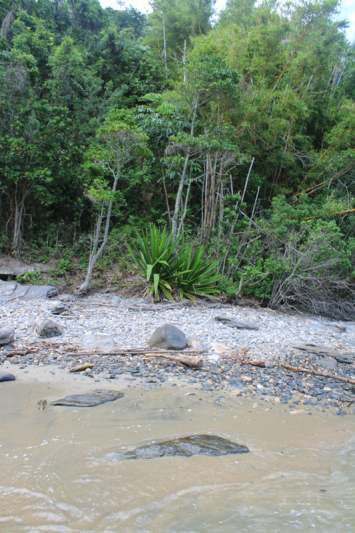 Praia do Segredo