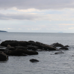 Praia do Segredo